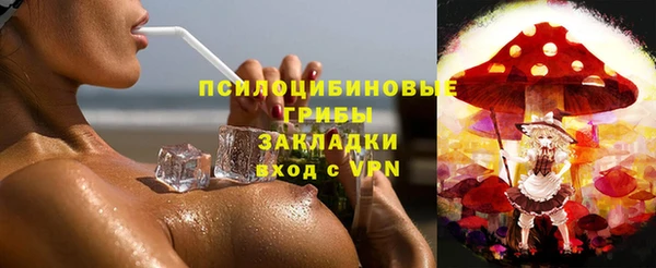 меф Белокуриха