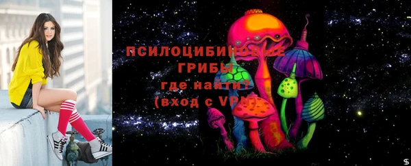 дживик Беломорск